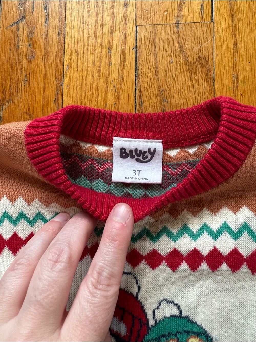 Kids Bluey Holiday Sweater